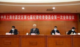 嘉定新闻爆料网站最新,揭秘最新爆料背后的真相与影响